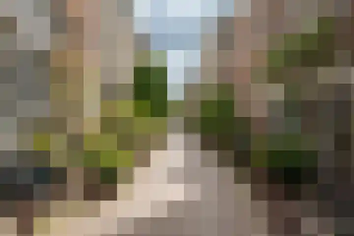 Noorderstraat 70 Amsterdam thumbnail 56
