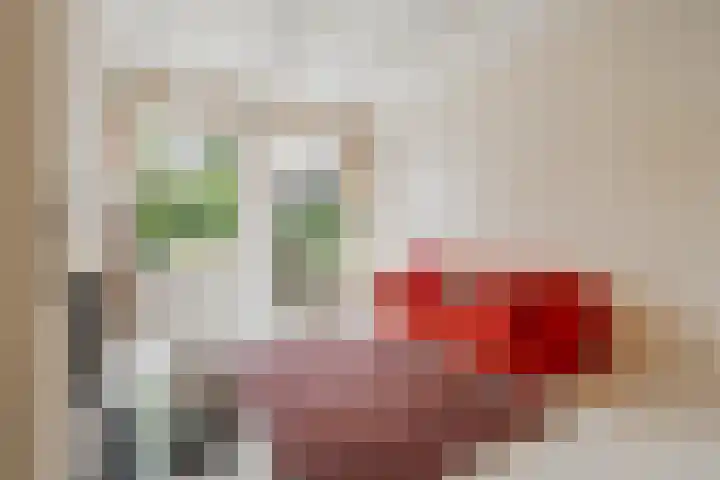 Noorderstraat 70 Amsterdam thumbnail 8
