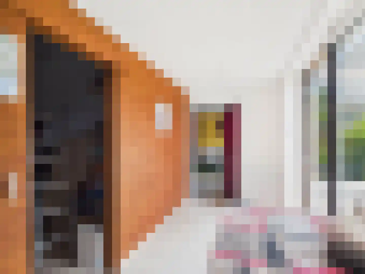 Noorderstraat 76 Sprundel thumbnail 113
