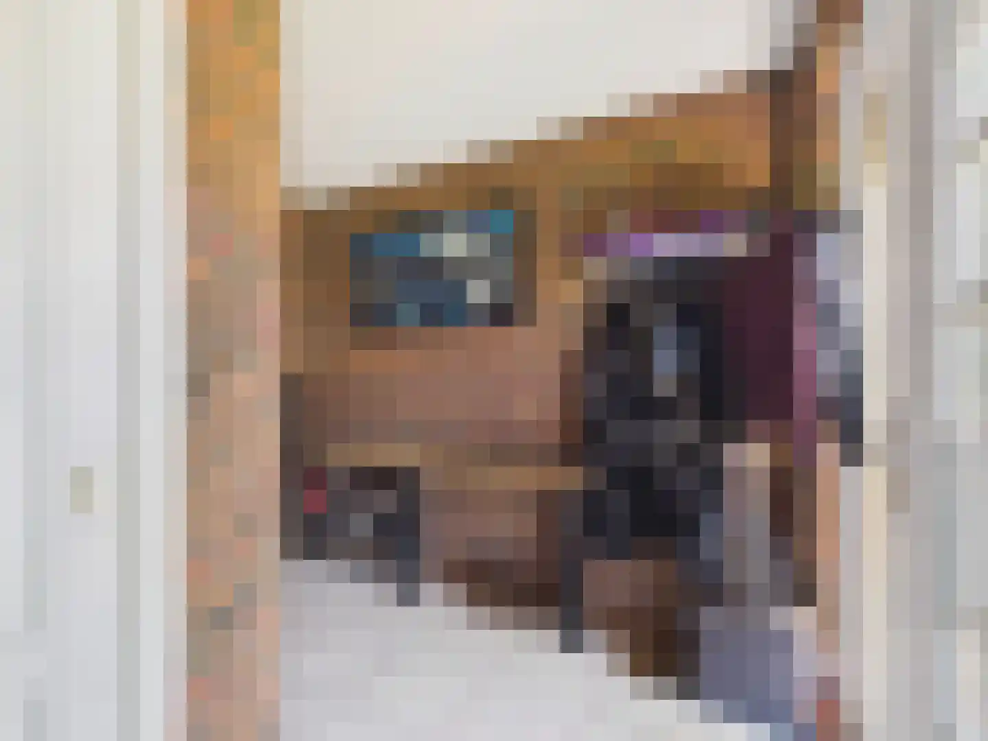 Noorderstraat 76 Sprundel thumbnail 30