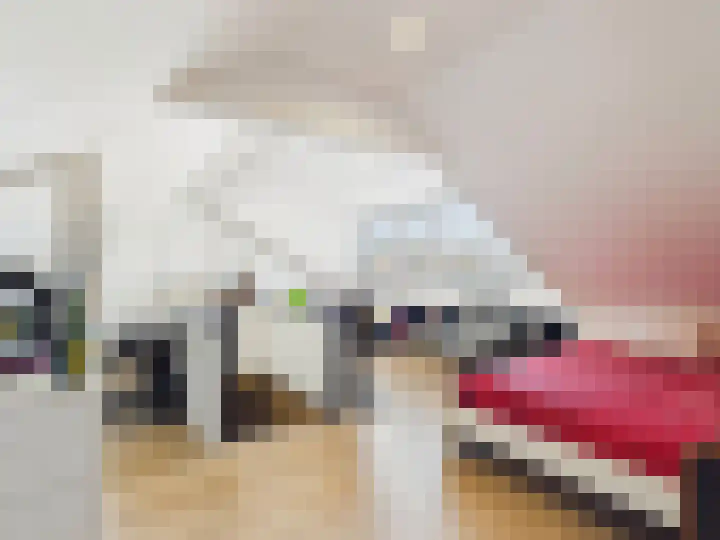 Noorderstraat 76 Sprundel thumbnail 63