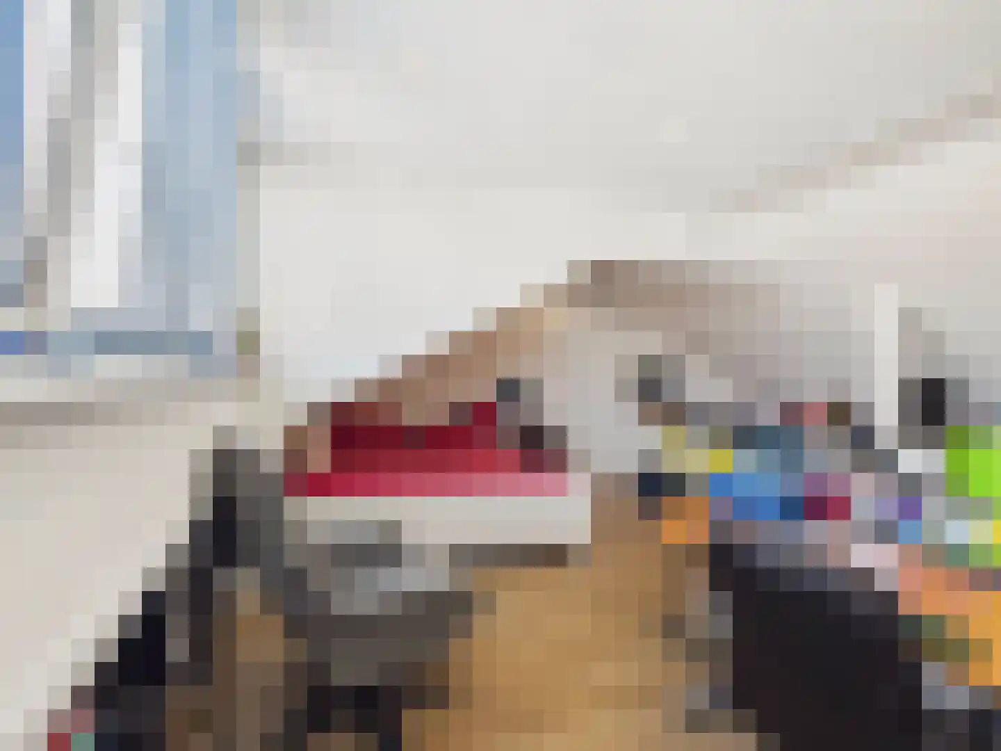 Noorderstraat 76 Sprundel thumbnail 67
