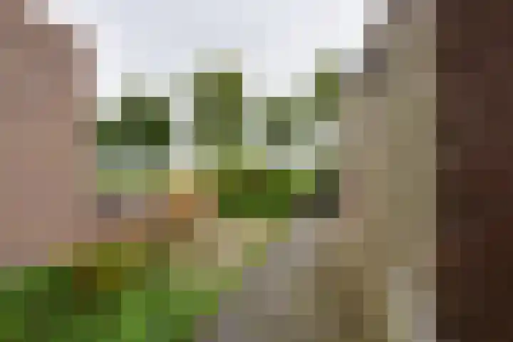 Noorderstraat 8 Edam thumbnail 42