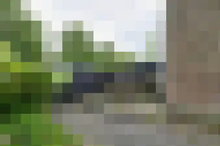 Noorderstraat 8 Edam thumbnail 45