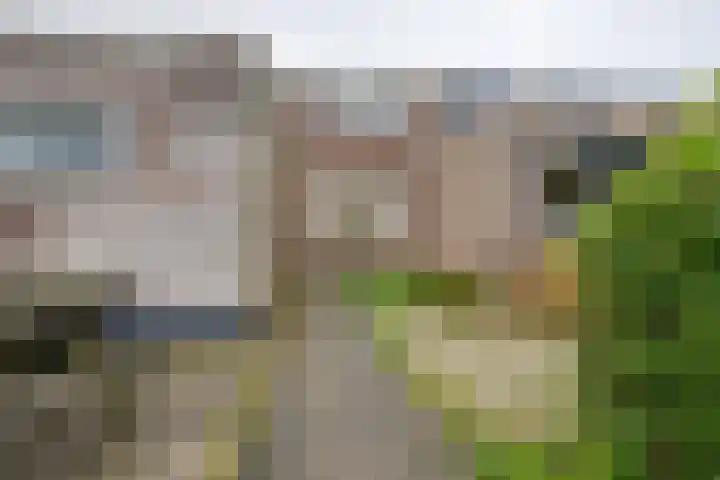 Noorderstraat 8 Edam thumbnail 46