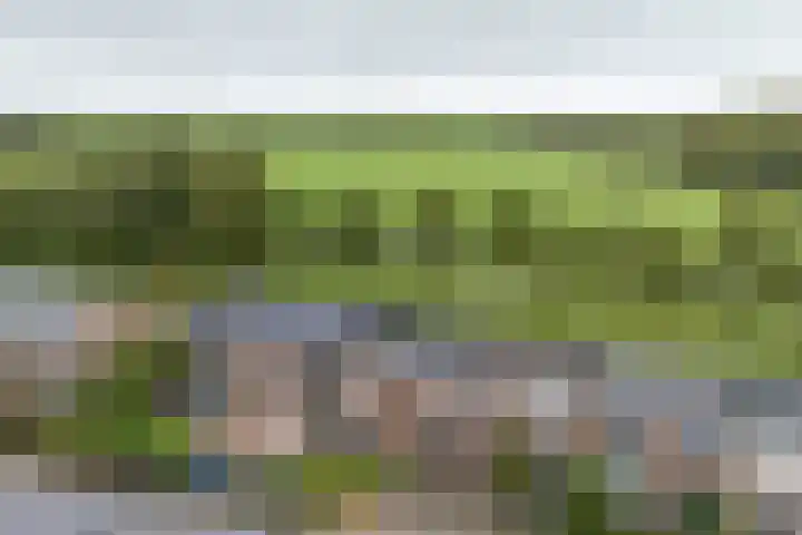 Noorderstraat 8 Edam thumbnail 5