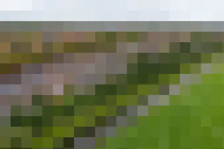 Noorderstraat 8 Edam thumbnail 51