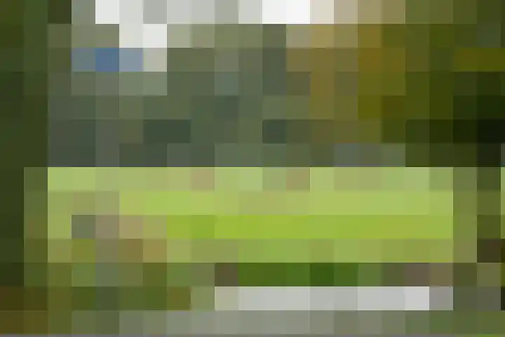 Noorderstraat 8 Edam thumbnail 53