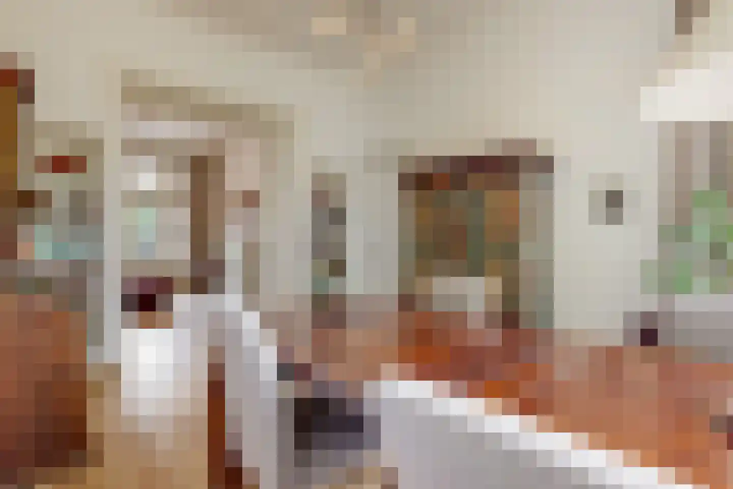 Noorderstraat 8 Hoorn thumbnail 8