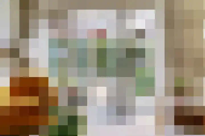 Noorderstraat 80 Dieren thumbnail 10
