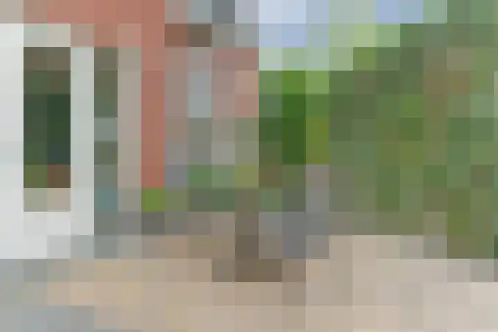 Noorderstraat 80 Dieren thumbnail 23