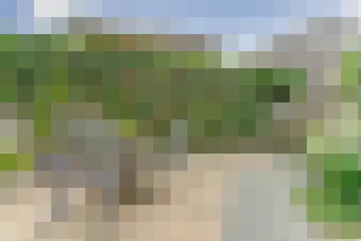 Noorderstraat 80 Dieren thumbnail 24