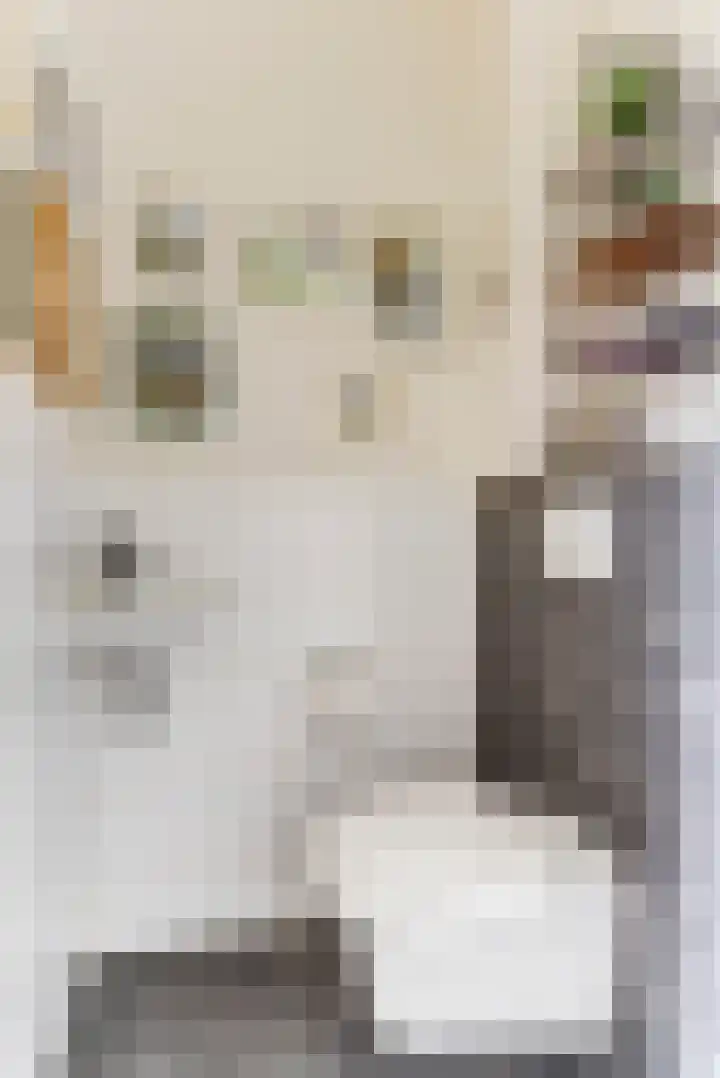 Noorderstraat 80 Dieren thumbnail 5