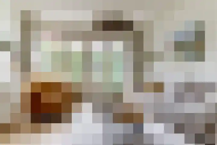 Noorderstraat 80 Dieren thumbnail 6