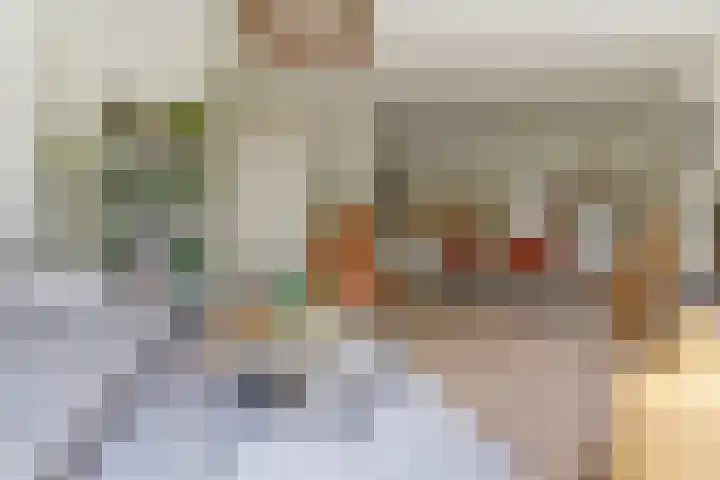 Noorderstraat 80 Dieren thumbnail 7