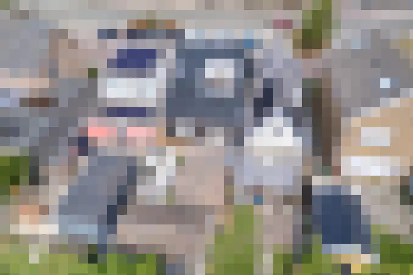 Noorderstraat 92 Sappemeer thumbnail 10