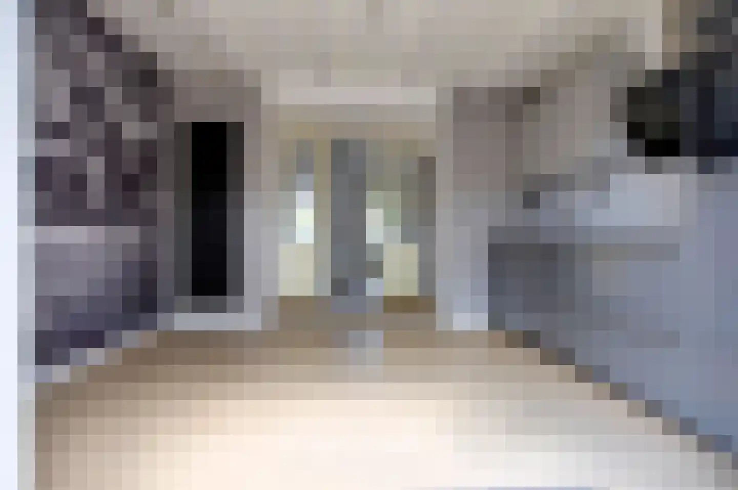 Noorderstraat 92 Sappemeer thumbnail 19