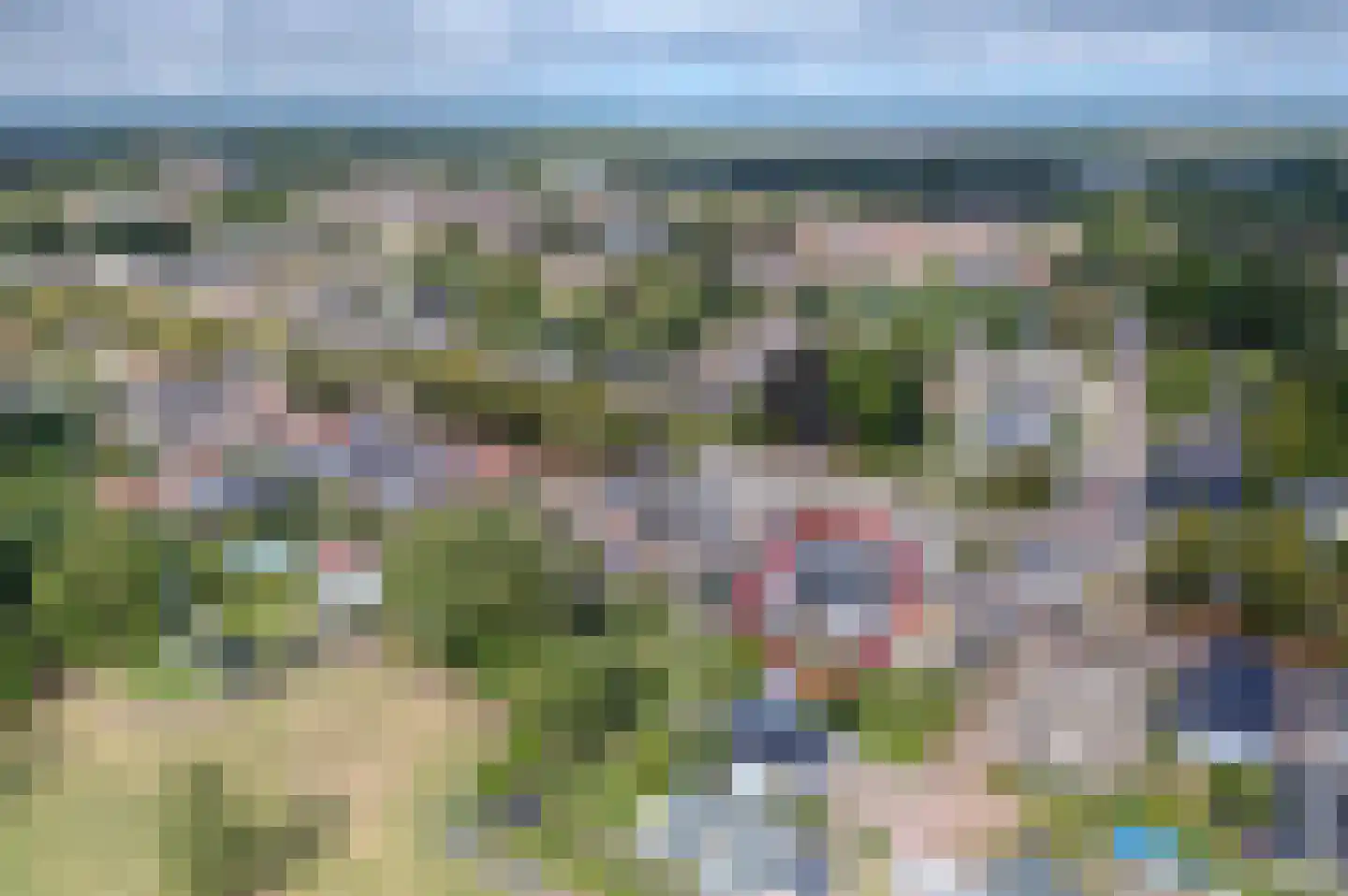 Noorderstraat 92 Sappemeer thumbnail 9