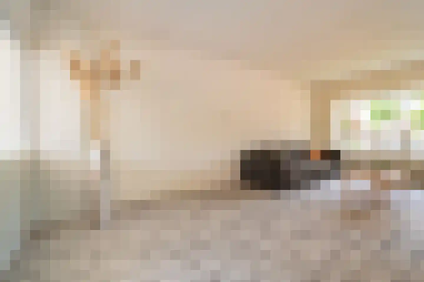 Noorderstraat 96 Sappemeer thumbnail 17