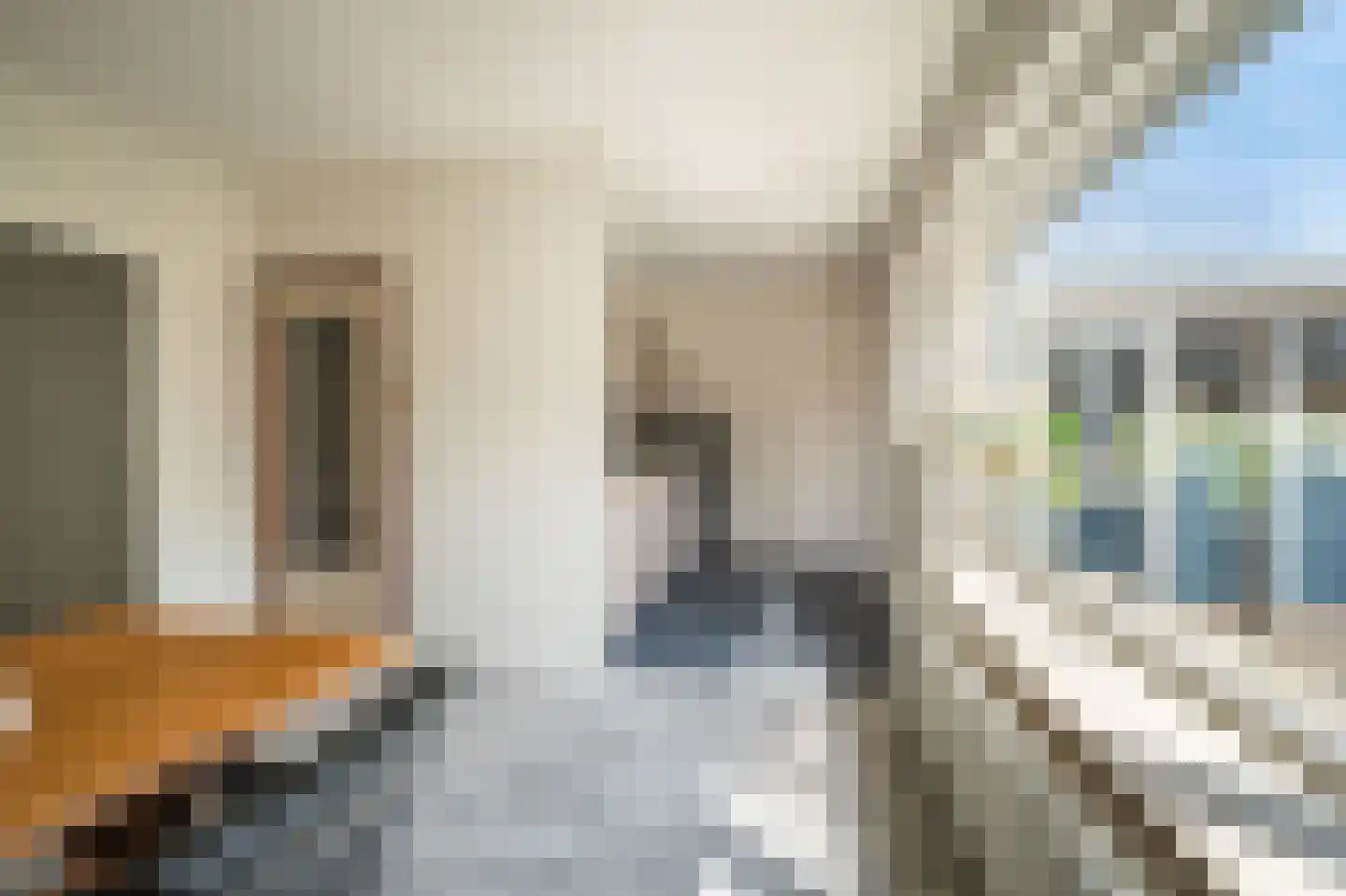 Noorderstraat 96 Sappemeer thumbnail 30