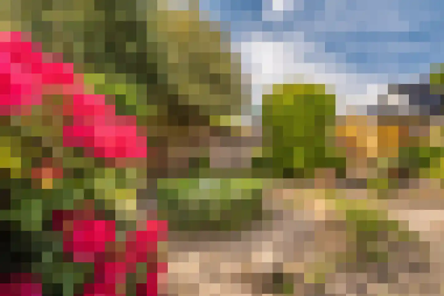 Noorderstraat 96 Sappemeer thumbnail 4