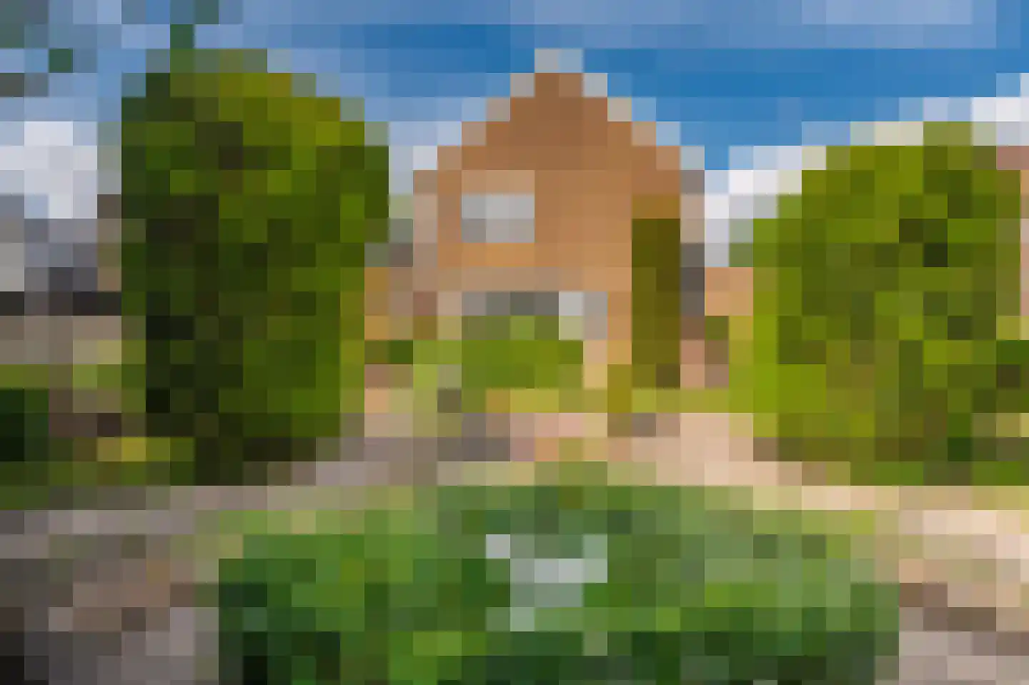 Noorderstraat 96 Sappemeer thumbnail 43