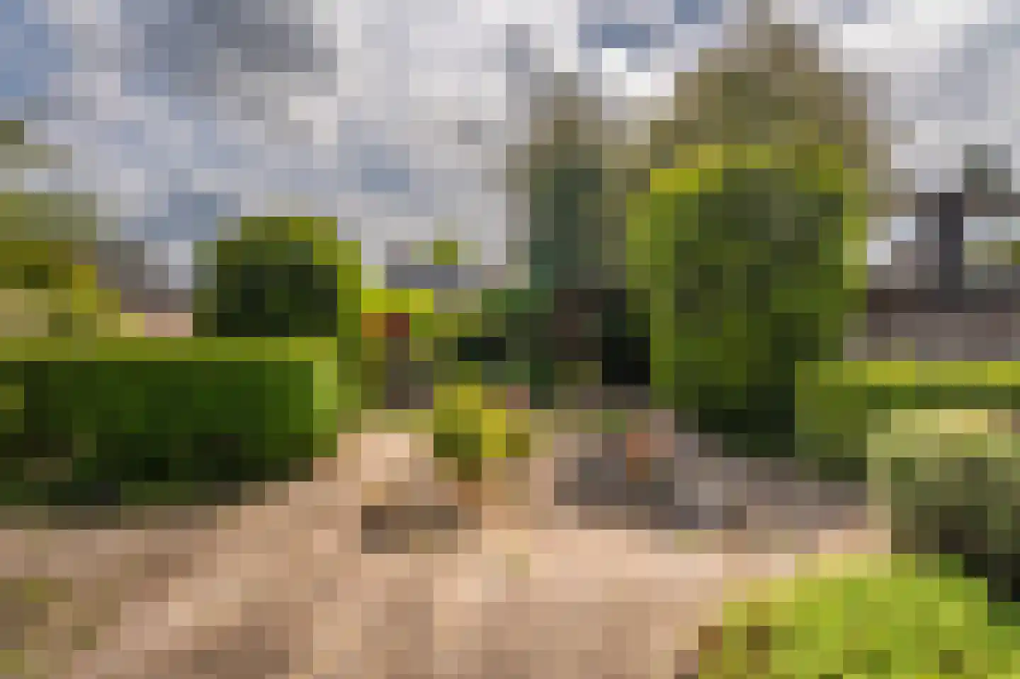 Noorderstraat 96 Sappemeer thumbnail 45