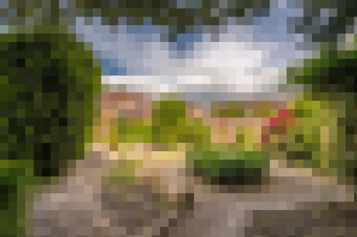 Noorderstraat 96 Sappemeer thumbnail 46