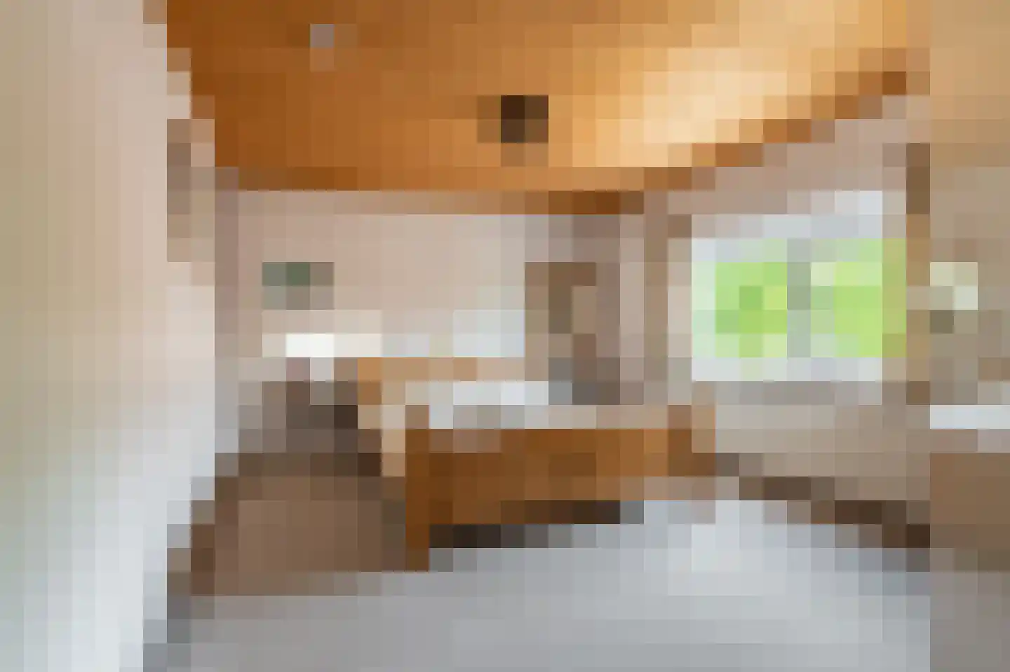 Noorderstraat 96 Sappemeer thumbnail 55