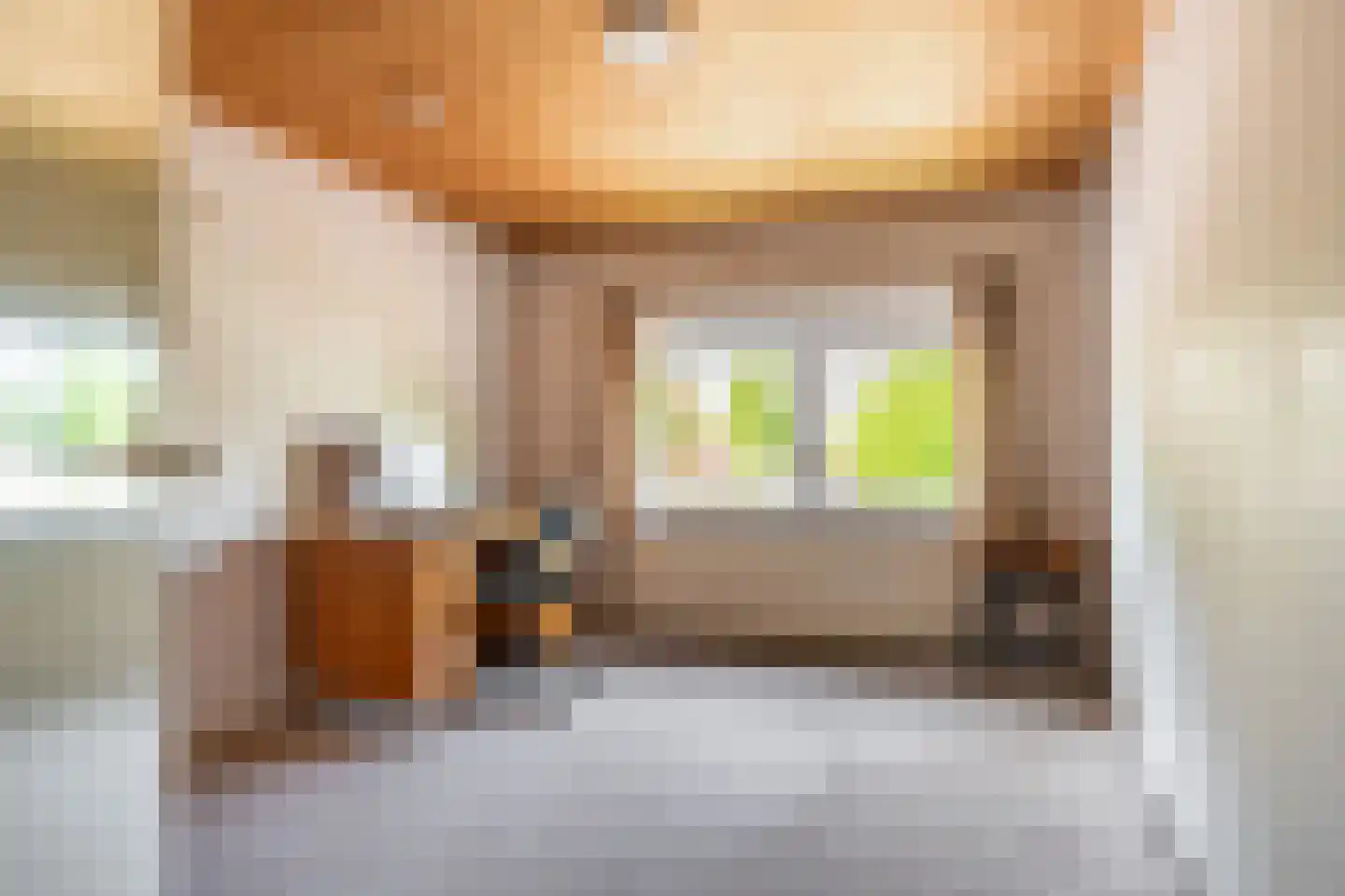 Noorderstraat 96 Sappemeer thumbnail 60