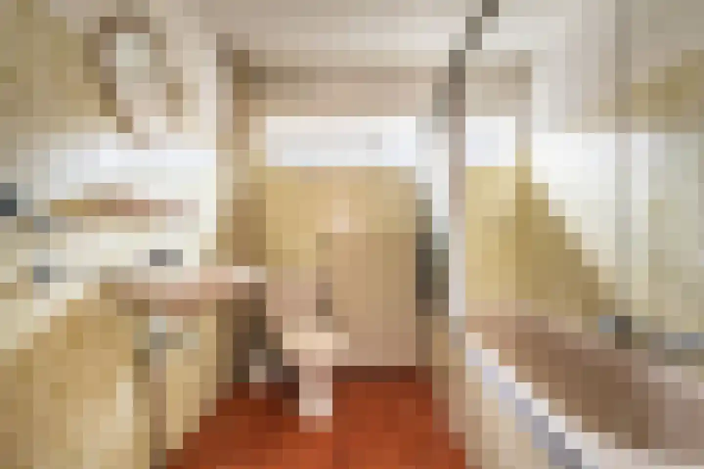 Noorderstraat 96 Sappemeer thumbnail 62