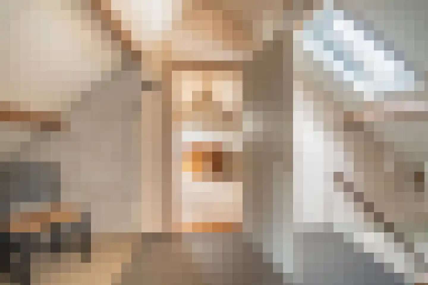 Noorderstraat 96 Sappemeer thumbnail 66
