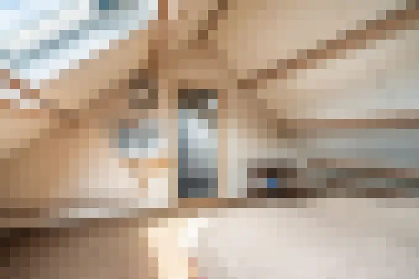Noorderstraat 96 Sappemeer thumbnail 68