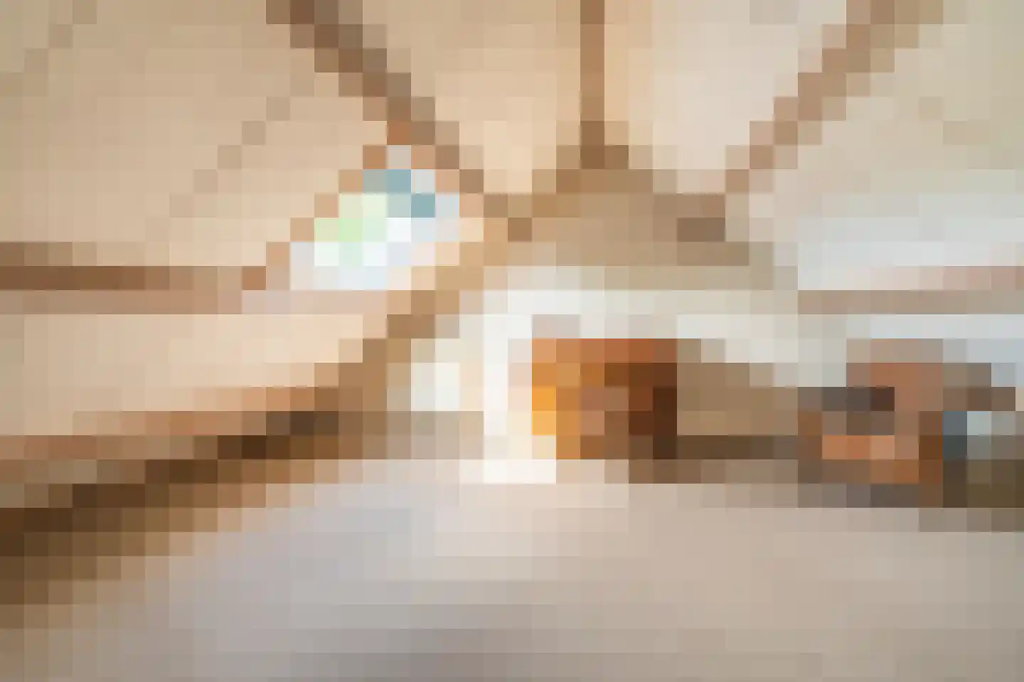 Noorderstraat 96 Sappemeer thumbnail 70