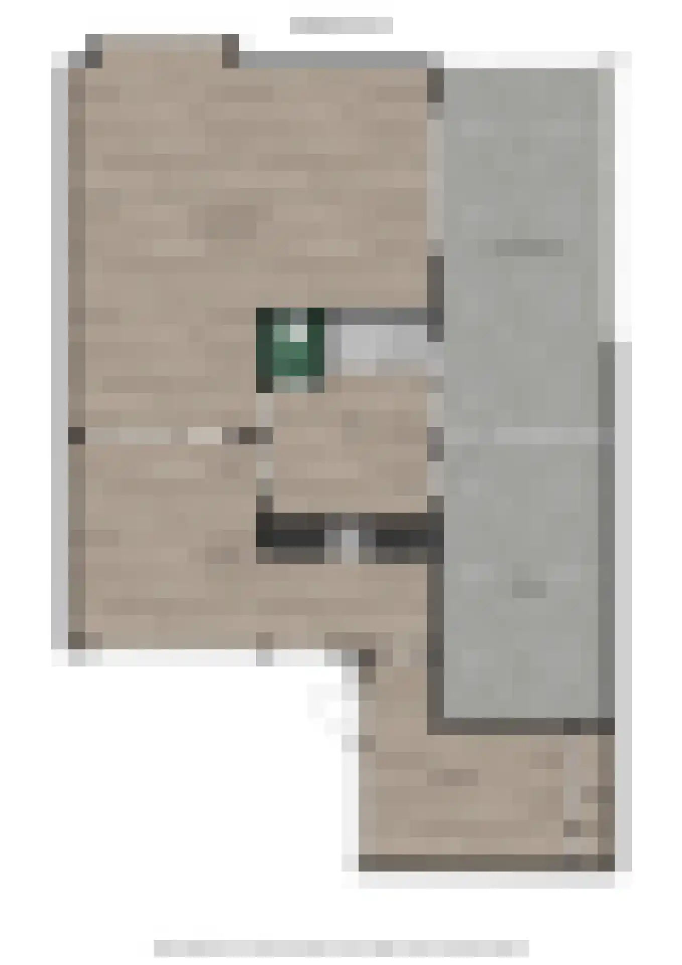 Noorderstraat 96 Sappemeer thumbnail 74