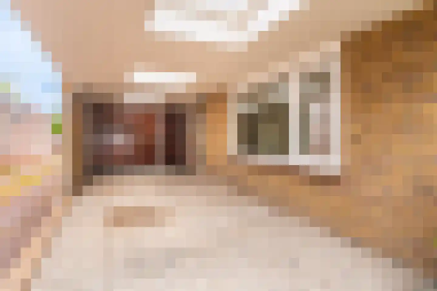 Noorderstraat 96 Sappemeer thumbnail 8