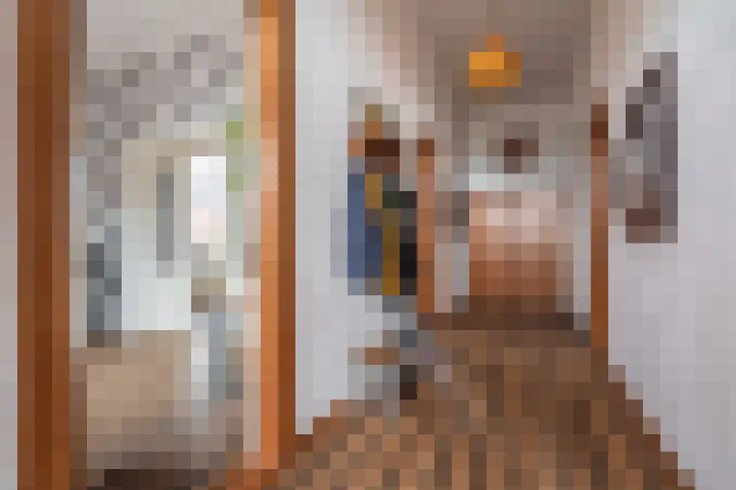 Noorderstraat 97 Sappemeer thumbnail 20