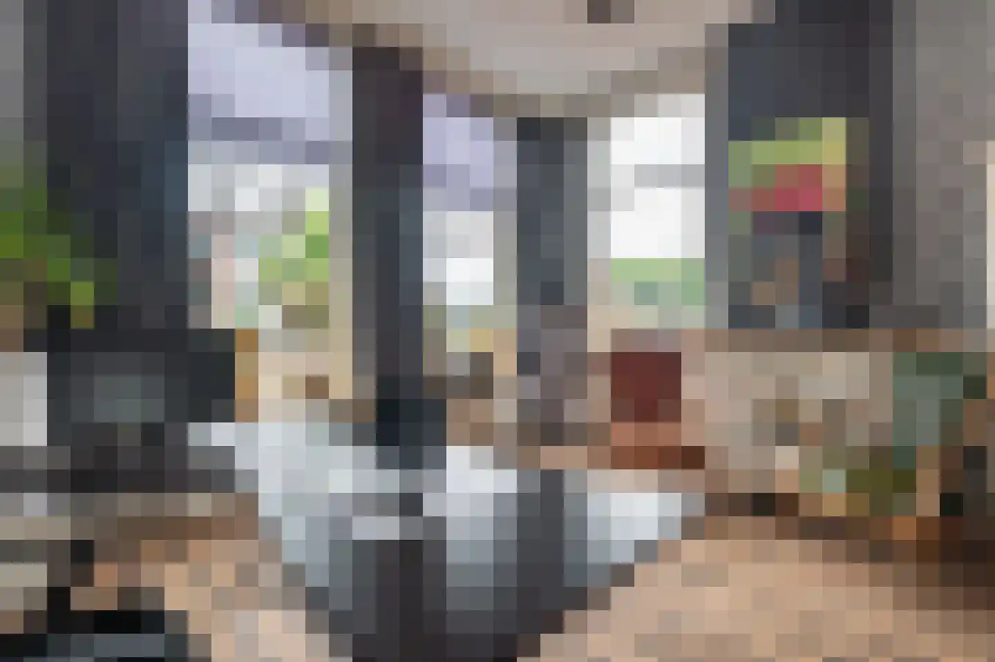 Noorderstraat 97 Sappemeer thumbnail 22