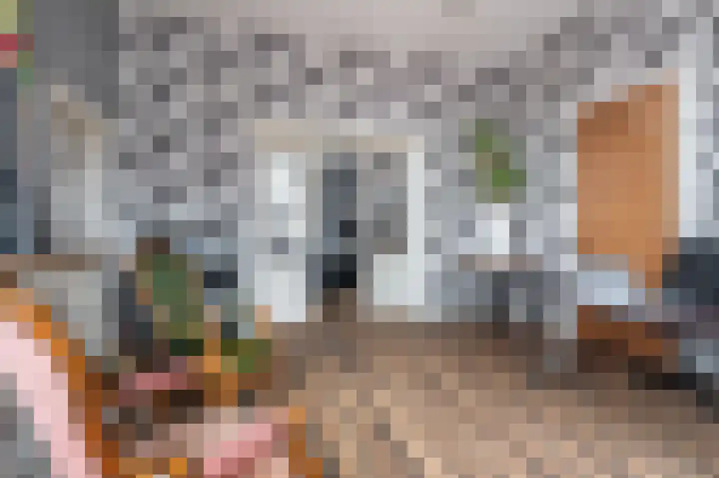 Noorderstraat 97 Sappemeer thumbnail 23