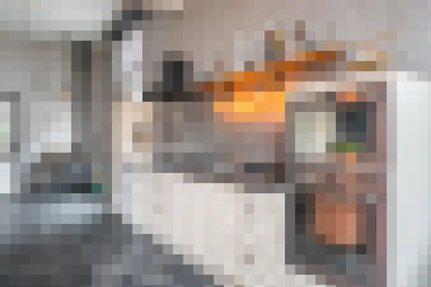 Noorderstraat 97 Sappemeer thumbnail 33