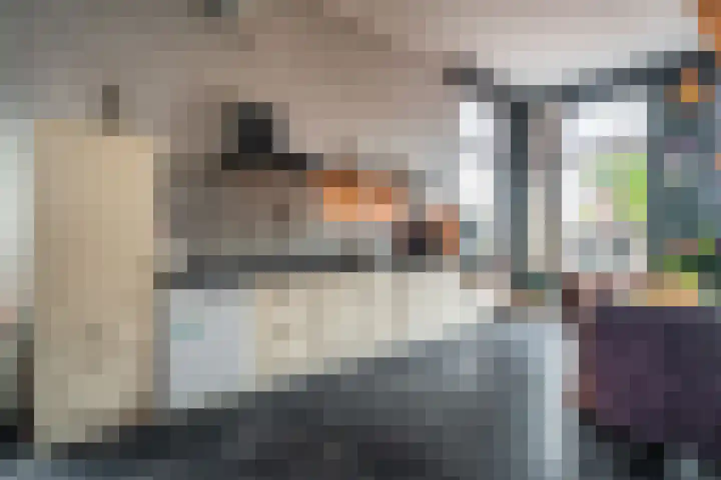 Noorderstraat 97 Sappemeer thumbnail 35