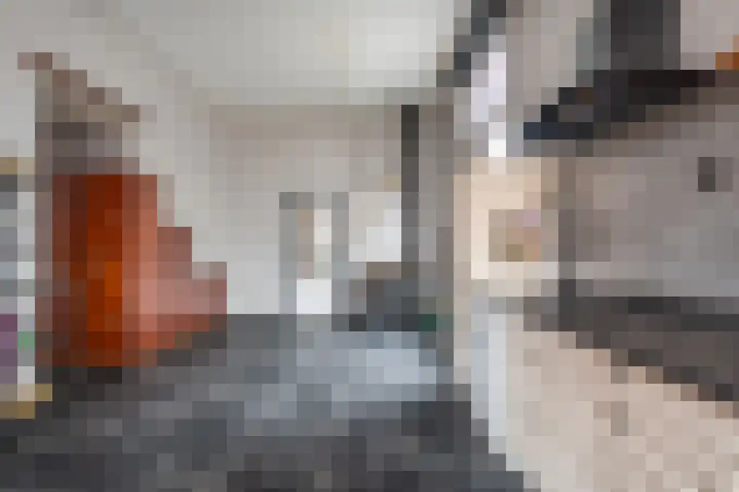 Noorderstraat 97 Sappemeer thumbnail 35