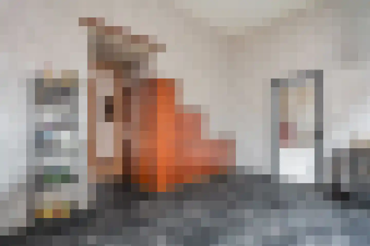 Noorderstraat 97 Sappemeer thumbnail 36