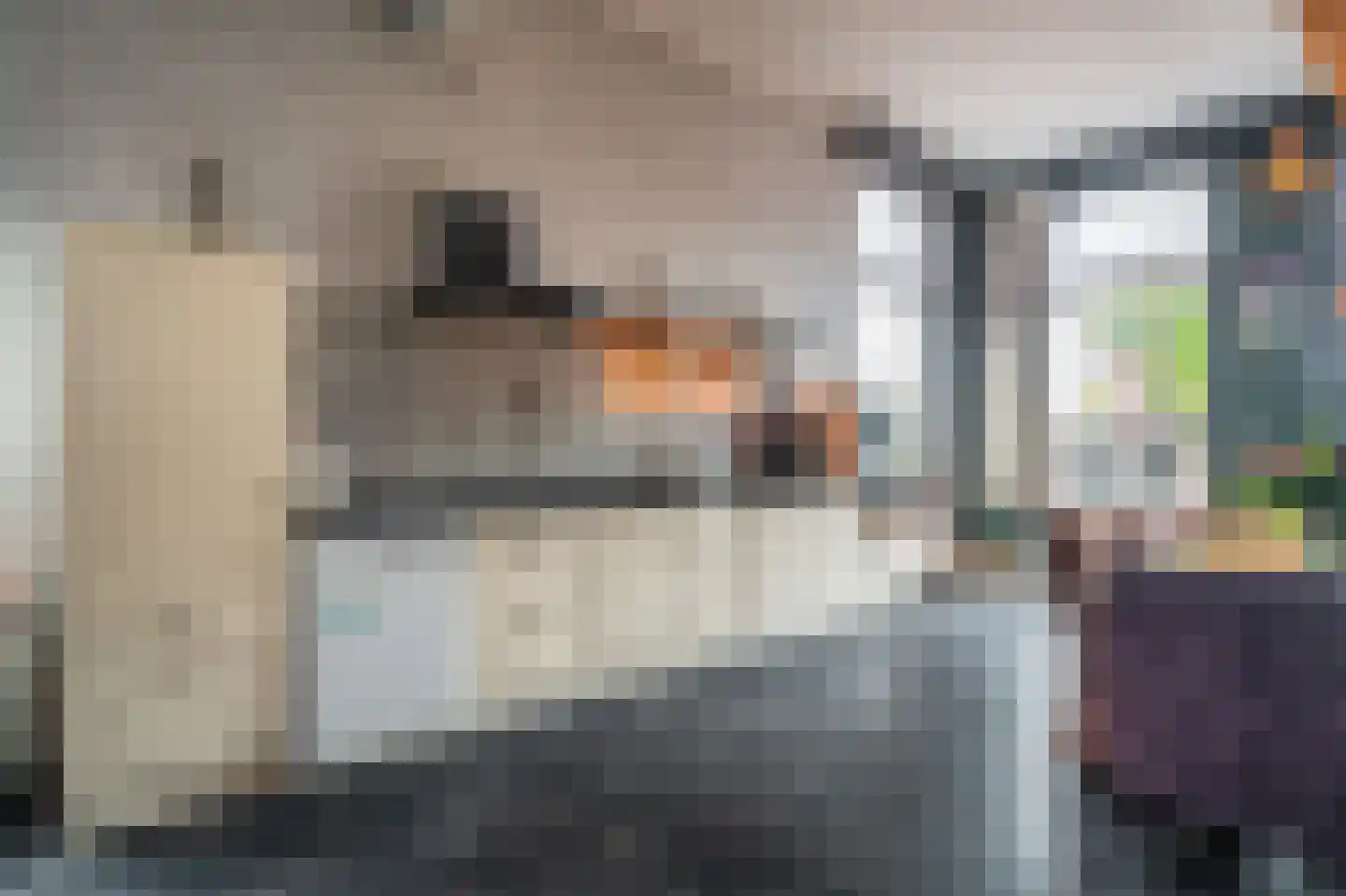 Noorderstraat 97 Sappemeer thumbnail 38