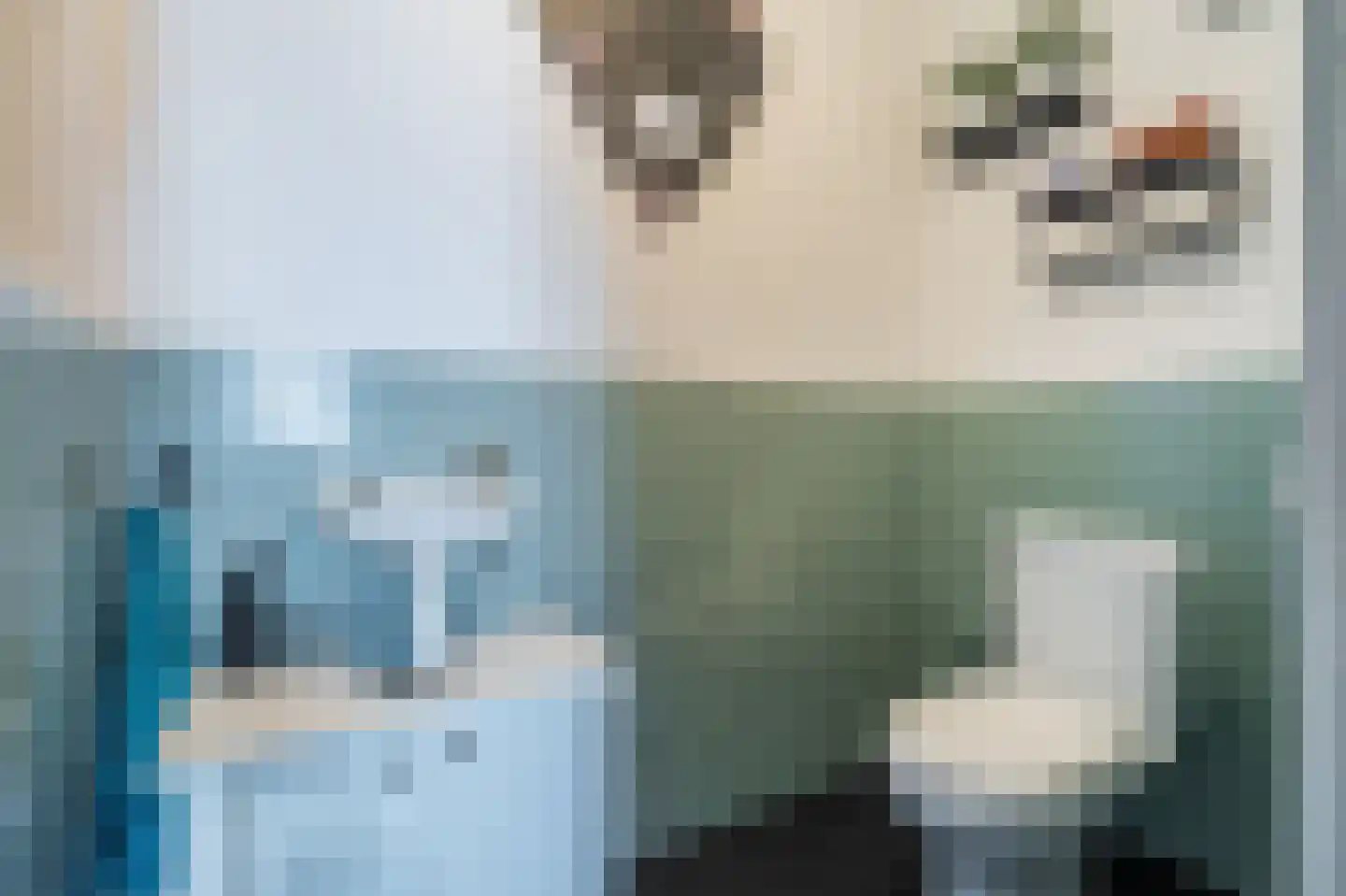 Noorderstraat 97 Sappemeer thumbnail 39