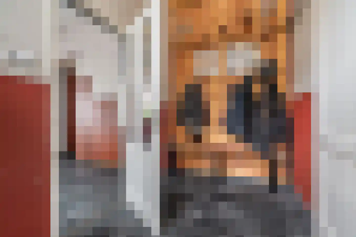 Noorderstraat 97 Sappemeer thumbnail 40
