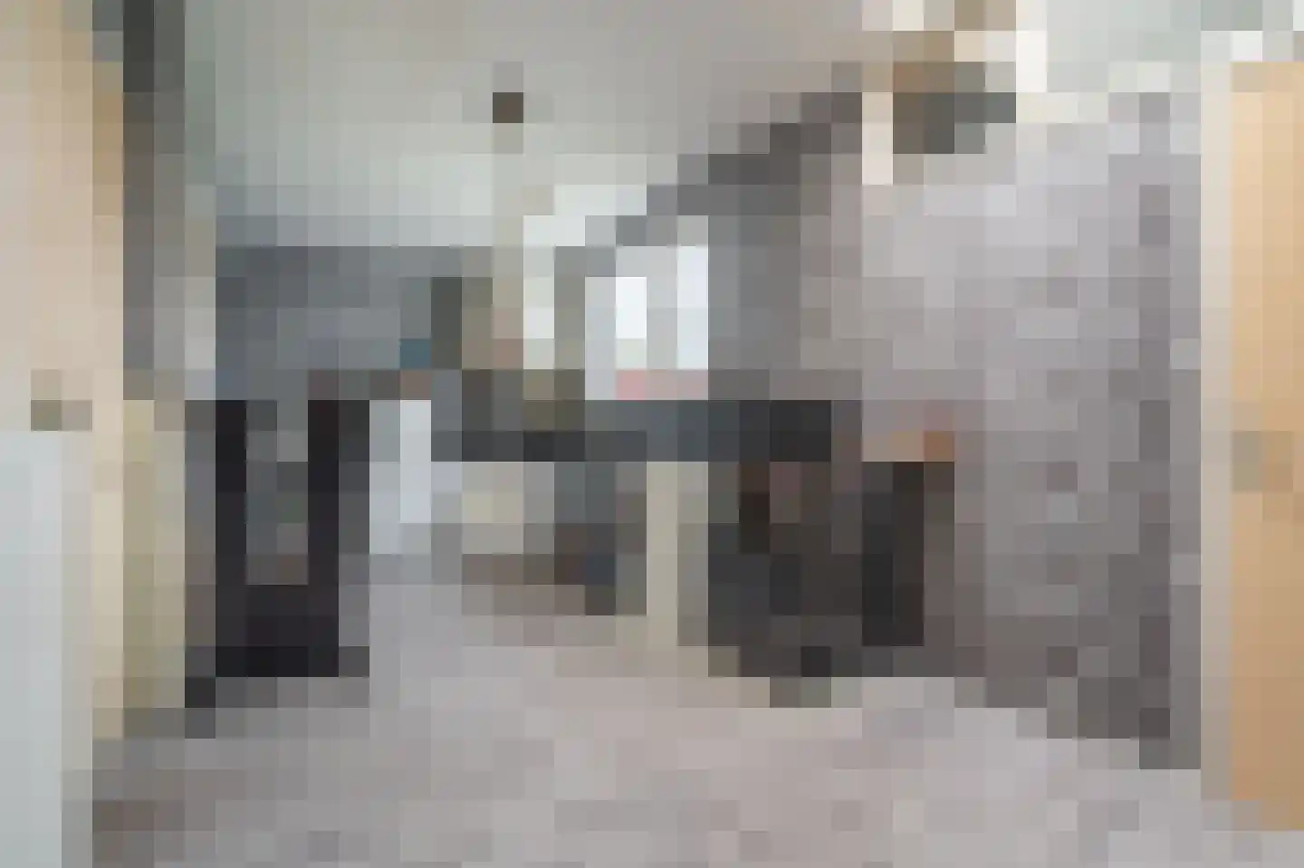 Noorderstraat 97 Sappemeer thumbnail 42