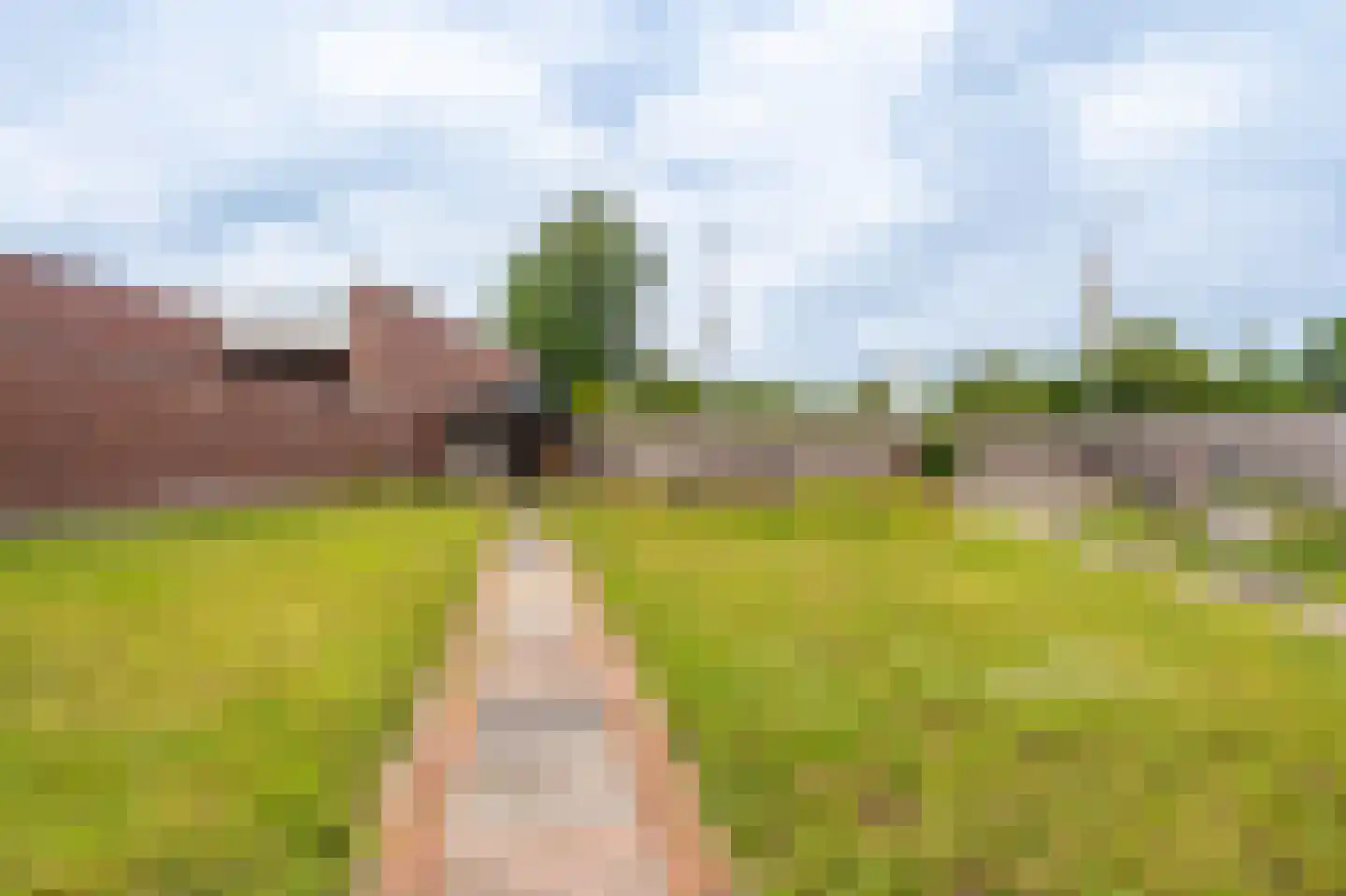 Noorderstraat 97 Sappemeer thumbnail 50