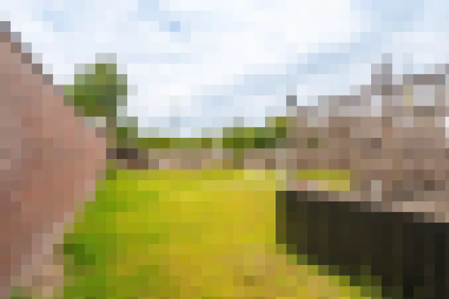 Noorderstraat 97 Sappemeer thumbnail 54