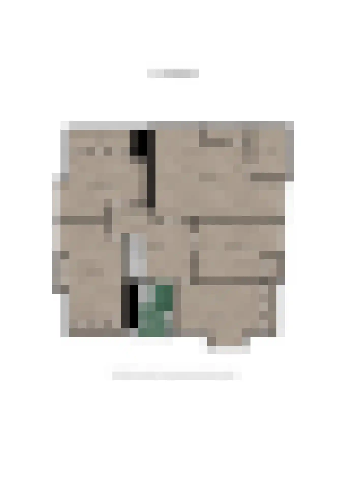 Noorderstraat 97 Sappemeer thumbnail 57